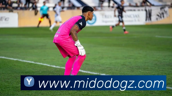 半岛官网首页品牌故事