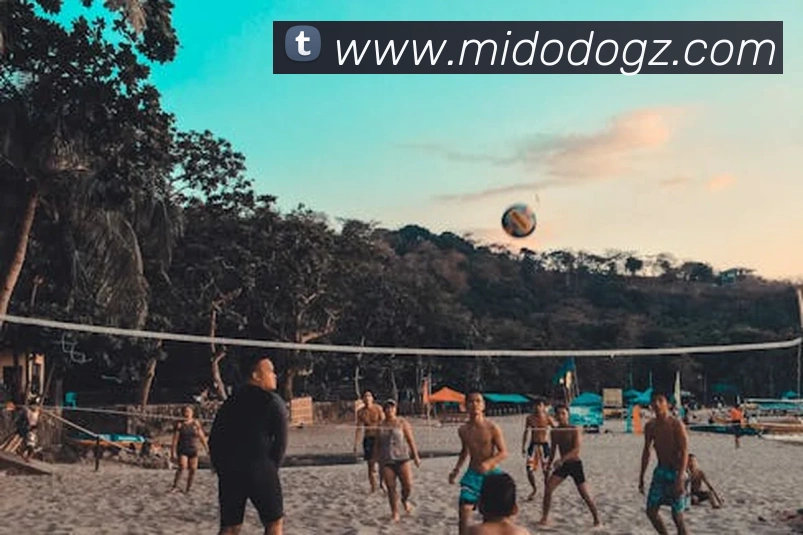 半岛官网首页服务体系